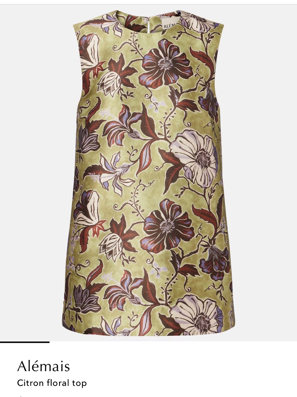 NWT Alemais Floral Citron Top